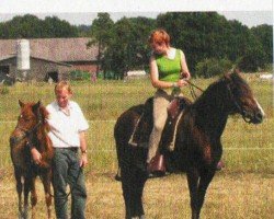 broodmare Patricia KSS (Peruvian Paso, 2003, from Garrido EML)