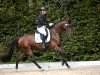 dressage horse Incredible 15 (Trakehner, 2018, from Placido Domingo)