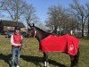 dressage horse Agapitus Sirius (German Riding Pony, 2022, from A kind of Magic 5)