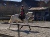 dressage horse Oakwood's Sky Blue (Pony without race description, 2015)
