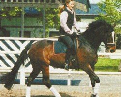 broodmare Atlanta (Oldenburg, 1995, from Feinbrand)