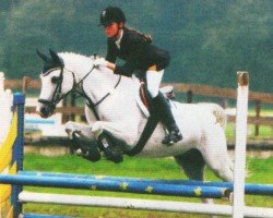 horse Winnie Puh 21 (German Riding Pony, 1995, from Wilder Wein)