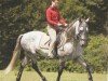 Pferd Usurero S.T. (Pura Raza Espanola (PRE), 1997, von Devoto III)