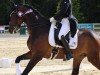 Dressurpferd Rock For Romance (Westfale, 2013, von Rock Forever NRW)