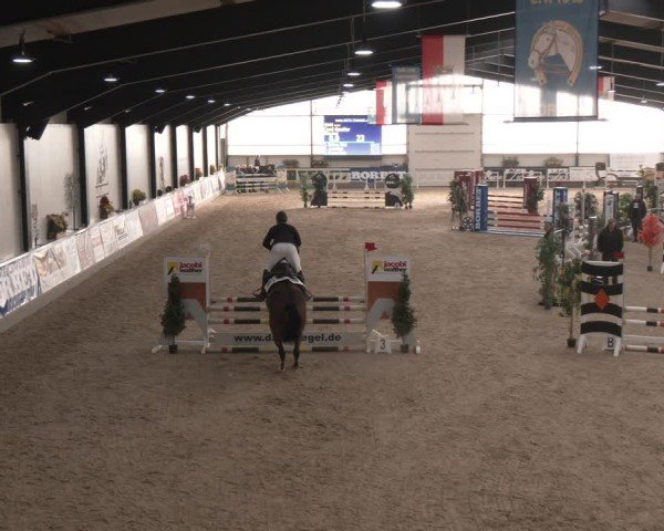 Reitturnier Borken (Hessen) 2025
