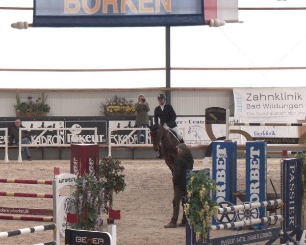 Reitturnier Borken (Hessen) 2025