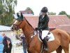 broodmare Koffee (Westphalian, 2017, from Kanndarco)