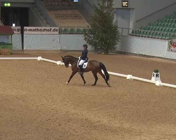 Reitturnier Kreuth 2025