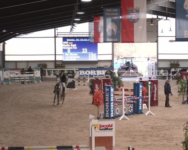 Reitturnier Borken (Hessen) 2025