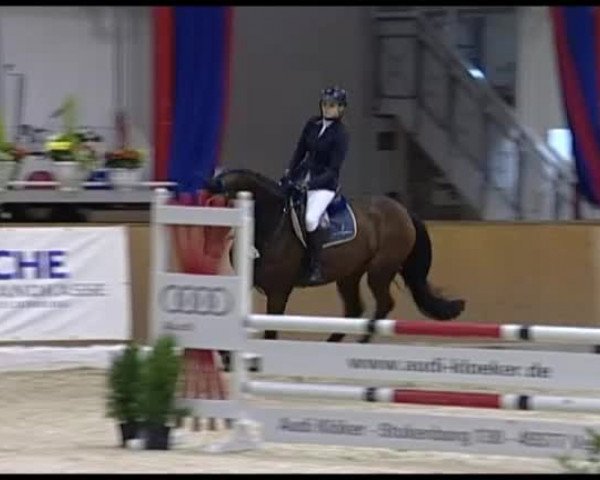 11. Hallen-Championat Vechta 2013