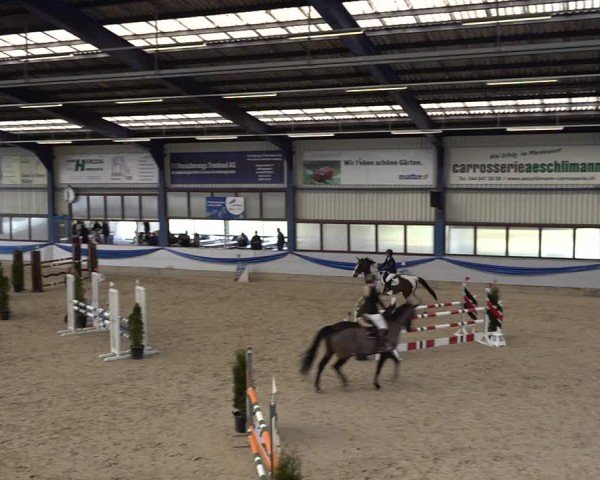 Reitturnier Buchs 2025