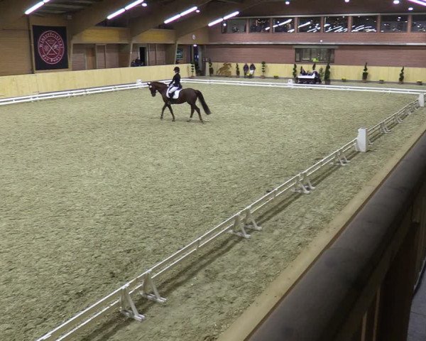 Reitturnier Paderborn 2021