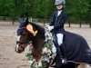 dressage horse Lisboy Little Fox (unknown, 2006)