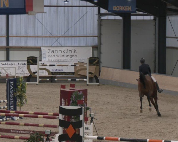 Reitturnier Borken (Hessen) 2025
