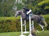 jumper Casablanca 135 (German Sport Horse, 2015, from Coupie)