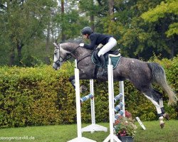 jumper Casablanca 135 (German Sport Horse, 2015, from Coupie)