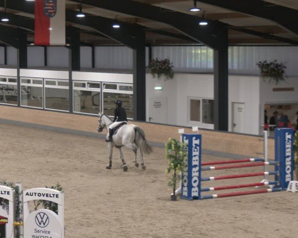 Reitturnier Borken (Hessen) 2025
