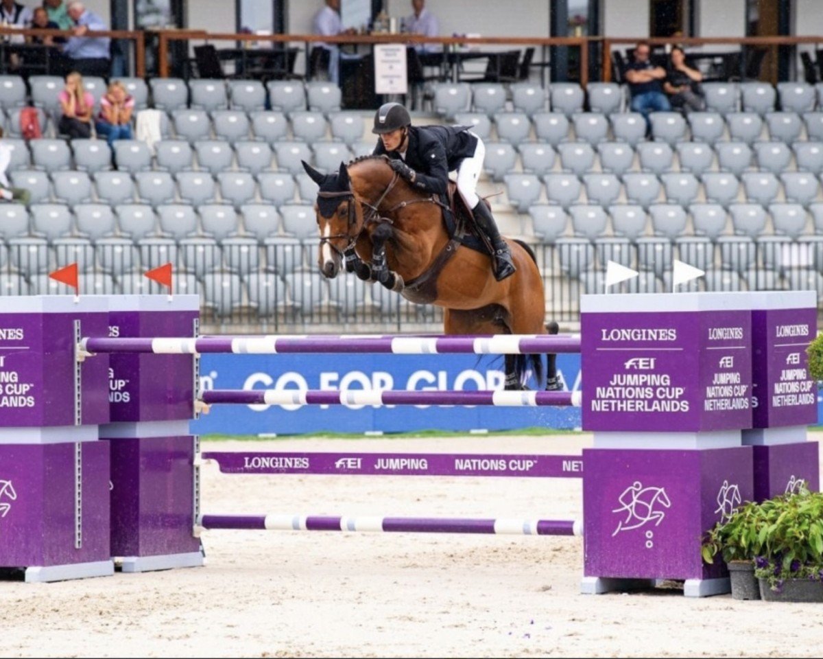 broodmare Quatinka (Hanoverian, 2011, from FRH Quaid)