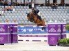 broodmare Quatinka (Hanoverian, 2011, from FRH Quaid)
