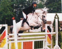 dressage horse Goredo (Hanoverian, 1999, from Gold Ferdl)