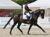 Dressurpferd Insterzauber 2 (Trakehner, 2009, von Grand Passion)