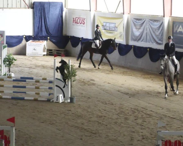 Reitturnier Diez 2025