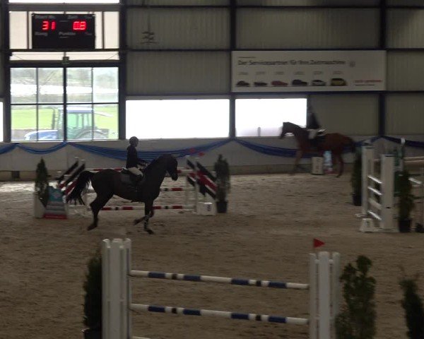 Reitturnier Buchs 2025