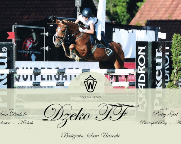 jumper Dzeko TF (German Riding Pony, 2010, from Don Diabolo NRW)