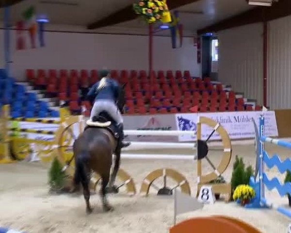 11. Hallen-Championat Vechta 2013