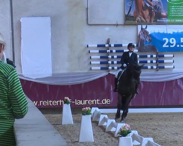 Reitturnier Eicherloh 2025