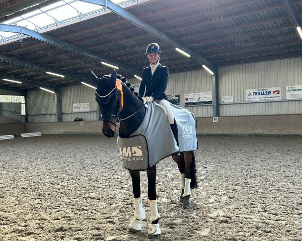 dressage horse Found a Dream 3 (Hanoverian, 2020, from For Final)