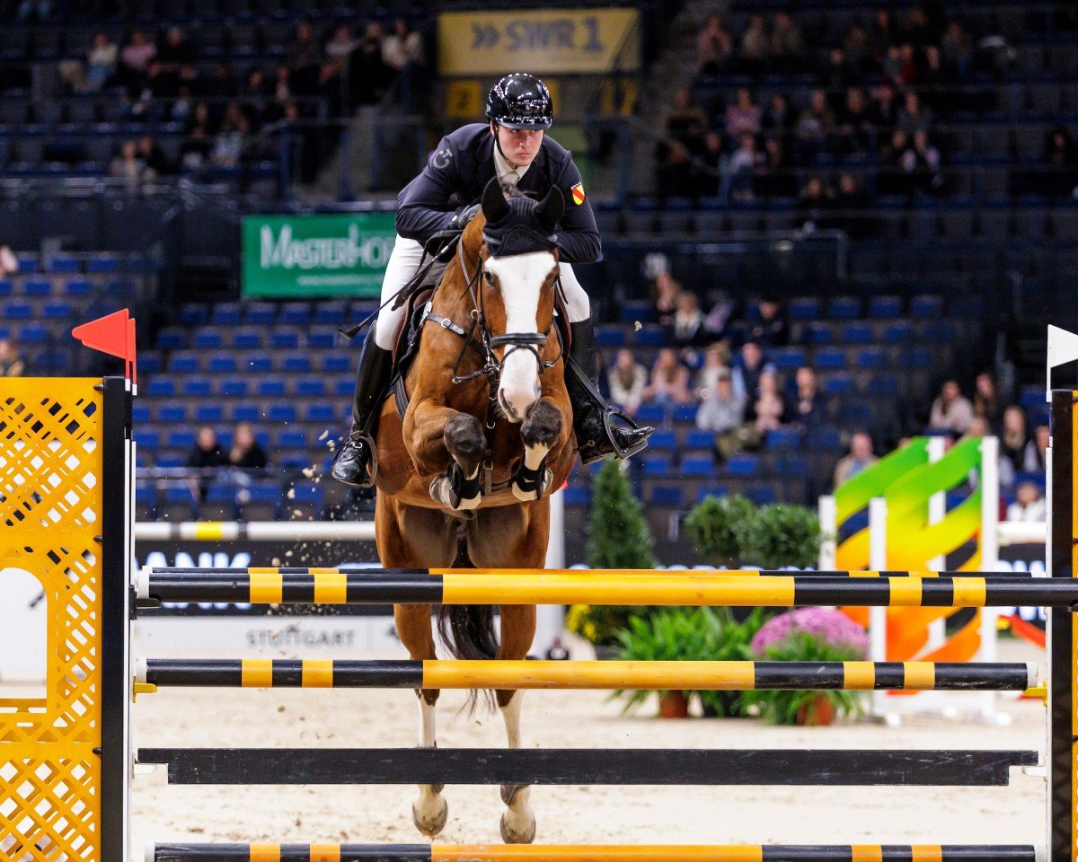 jumper Pluchino F (Oldenburg show jumper, 2017, from Plot Blue)