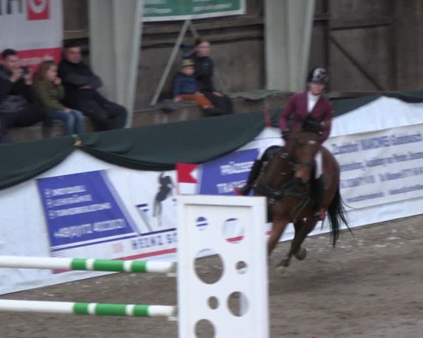 Reitturnier Timmendorf 2025