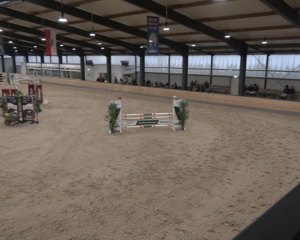 Reitturnier Borken (Hessen) 2025