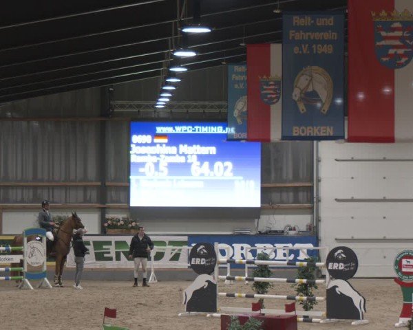 Reitturnier Borken (Hessen) 2025