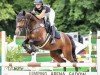 Springpferd Sidney L (Oldenburger Springpferd, 2016, von Stalypso)
