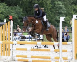 broodmare Funchip T (German Riding Pony, 2010, from For Next Generation)