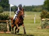 dressage horse Fighting Line (German Sport Horse, 2007, from Ostermond xx)