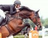 Springpferd Clear Round T (Deutsches Sportpferd, 2013, von Cassilano)