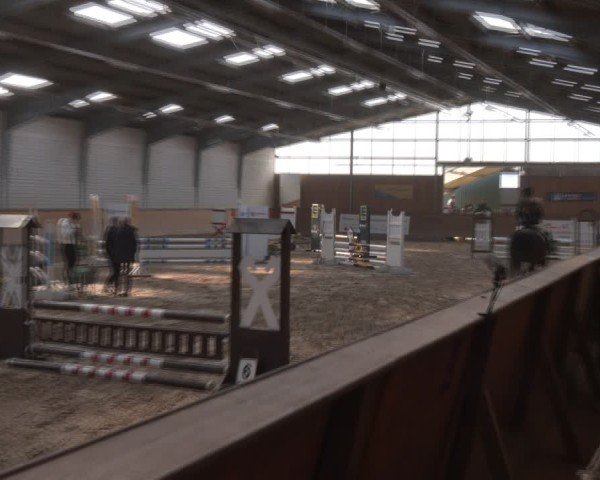 Reitturnier Vorsfelde 2025