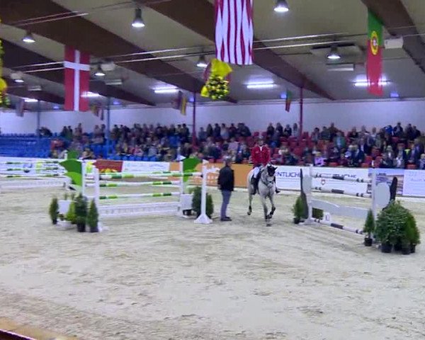 11. Hallen-Championat Vechta 2013