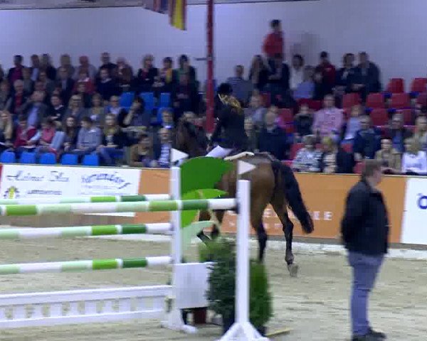 11. Hallen-Championat Vechta 2013