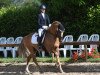 stallion FS Don Juan de Luxe (German Riding Pony, 2016, from FS Don't Worry)