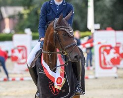 jumper Top Gun's Tiramisu (German Riding Pony, 2016, from Top Gun I)