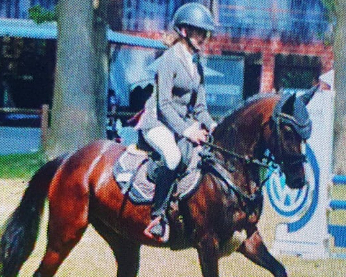 Springpferd Tip Top Tatsu (Deutsches Reitpony, 2016, von Top Berlin)
