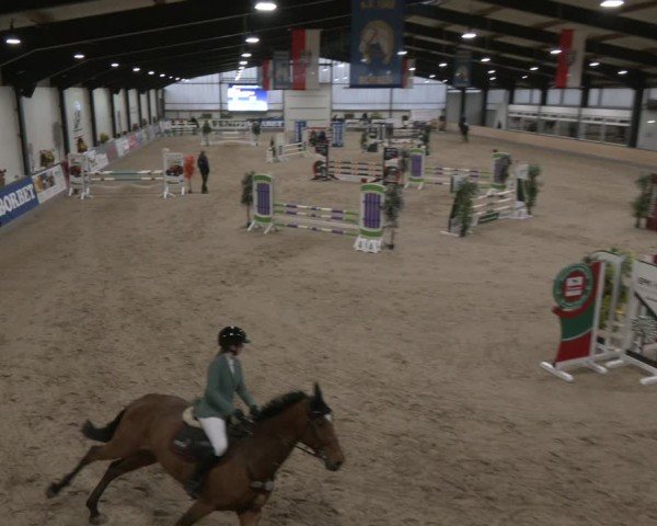 Reitturnier Borken (Hessen) 2025