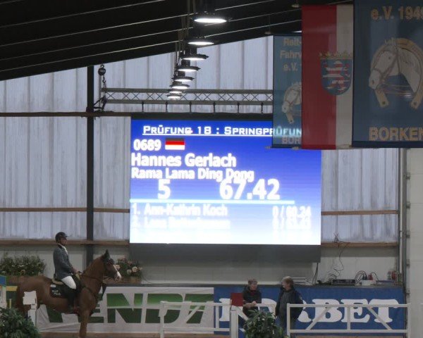 Reitturnier Borken (Hessen) 2025