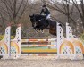 Springpferd Divo SR (Oldenburger Springpferd, 2019, von Doom FRH)