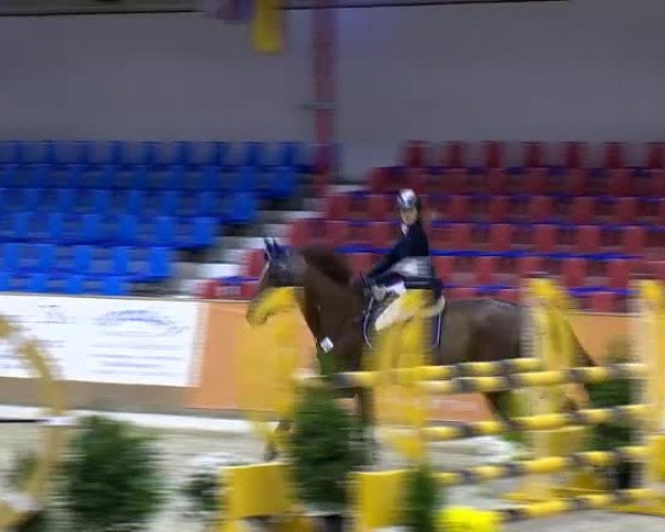 11. Hallen-Championat Vechta 2013