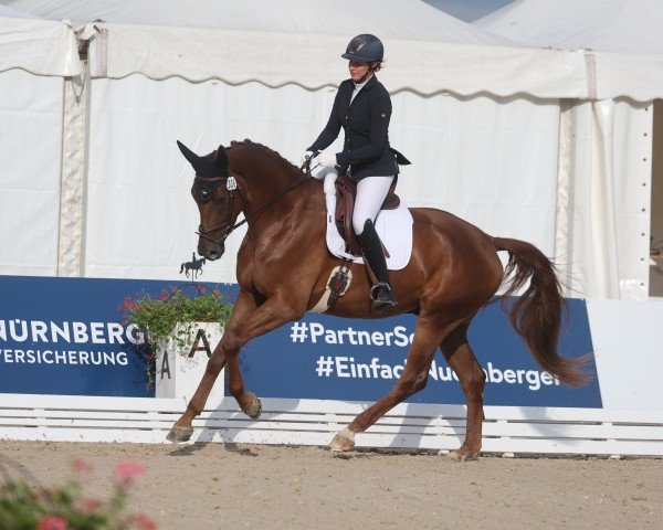 dressage horse Rubin Kiss (German Sport Horse, 2020, from Rubin Royal OLD)